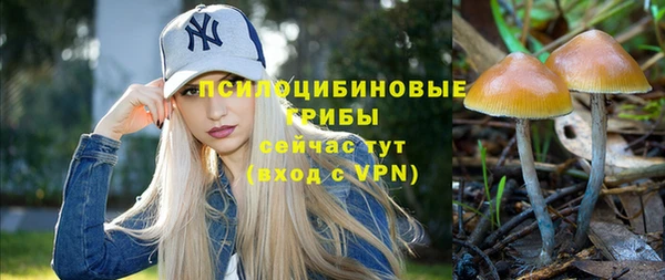 амф Белоозёрский